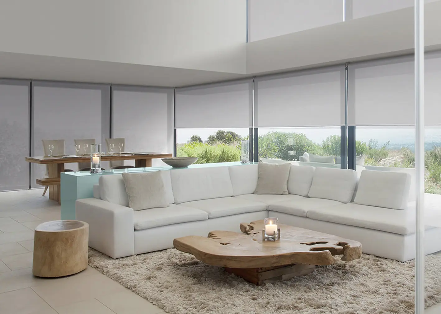 Cortidea Header Front About